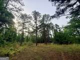 715 Fulsome Creek Road - Photo 50