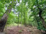 715 Fulsome Creek Road - Photo 59