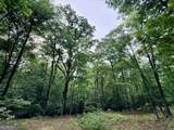 715 Fulsome Creek Road - Photo 64