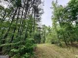 715 Fulsome Creek Road - Photo 65