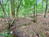 715 Fulsome Creek Road - Photo 75