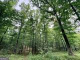 715 Fulsome Creek Road - Photo 77