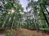 715 Fulsome Creek Road - Photo 83