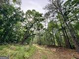 715 Fulsome Creek Road - Photo 95