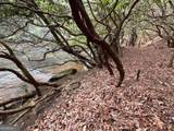 0 Horseshoe Bend Road - Photo 3