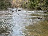 0 Horseshoe Bend Road - Photo 5