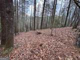 0 Horseshoe Bend Road - Photo 7