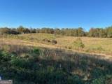 115 Roan Williams Road - Photo 7