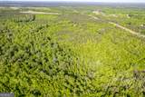 21701 Highway 441 - Photo 2