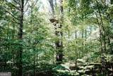 111 Rocky Drive - Photo 2