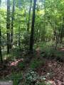 0 Pulliam Mill Road - Photo 10