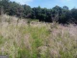 0 Pulliam Mill Road - Photo 11