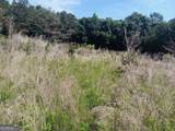 0 Pulliam Mill Road - Photo 12