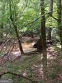 0 Pulliam Mill Road - Photo 2