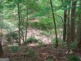 0 Pulliam Mill Road - Photo 3