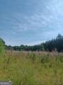 0 Pulliam Mill Road - Photo 6