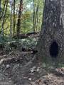 3A Turniptown Road - Photo 50