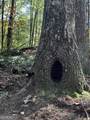 3A Turniptown Road - Photo 51