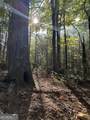 3A Turniptown Road - Photo 52