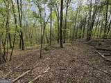 0 Talc Mine Road - Photo 21