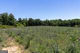 3600 Pea Ridge Road - Photo 11