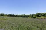 3600 Pea Ridge Road - Photo 6