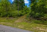 6.65 ACRES Clinch Lane - Photo 6