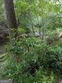 LOT 32 Byers Road - Photo 1