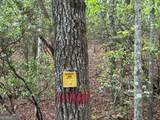 LOT 9 Peach Orchard Way - Photo 10
