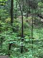 LOT 9 Peach Orchard Way - Photo 21
