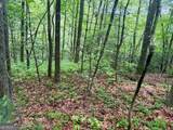 LOT 9 Peach Orchard Way - Photo 24