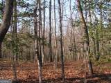 0 Mount Pleasant Church Road - Photo 4