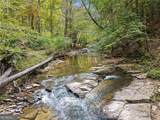0 Trout Line Court - Photo 21