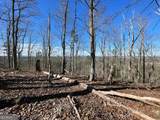 0A Johnson Lake Road #0A - Photo 11