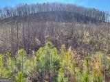 0A Johnson Lake Road #0A - Photo 14