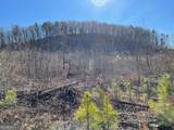 0A Johnson Lake Road #0A - Photo 15