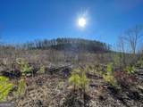 0A Johnson Lake Road #0A - Photo 16