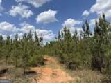 012 George Milling Rd - Photo 11