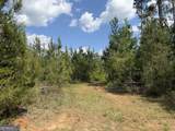 012 George Milling Rd - Photo 9