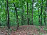 1674A Hunter Drive - Photo 2