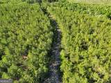 23.68 ACRES Quick Draw Road - Photo 6