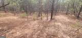 306 Patterson Road - Photo 6