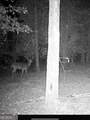 0 River Road - Photo 37