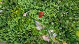 LOT 9 Laurel Creek Trail - Photo 17