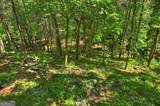 LOT 90R Mountain Creek Hollow Drive - Photo 12