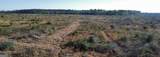 0 Graham Knight Road (Tract 3) - Photo 3
