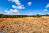 119 Inland Drive 3 Acres - Photo 2