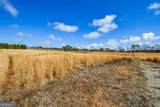 119 Inland Drive 3 Acres - Photo 3