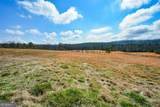 119 Inland Drive 3 Acres - Photo 7