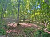 0 Hickory Nut Trail - Photo 10